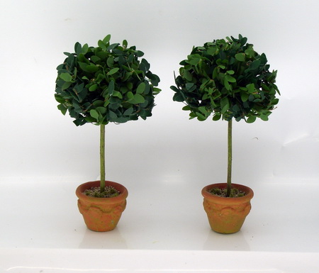 Topairy Tree's - Pair